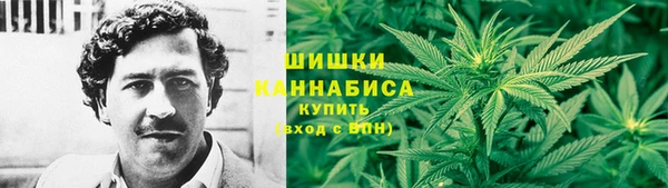 гидра Армянск