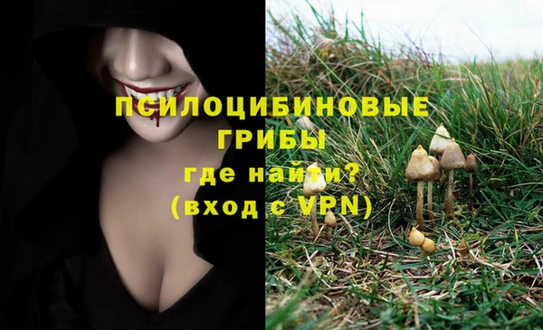 мескалин Аркадак