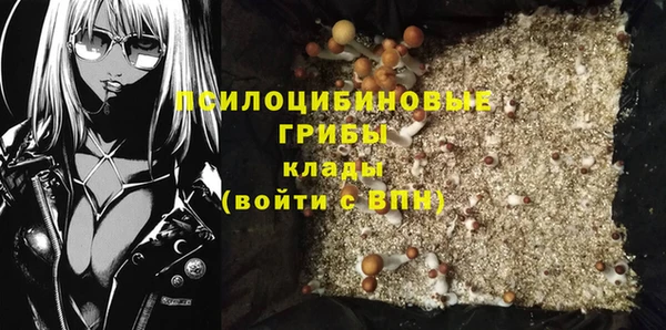 гидра Армянск