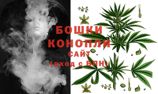 бошки Арсеньев