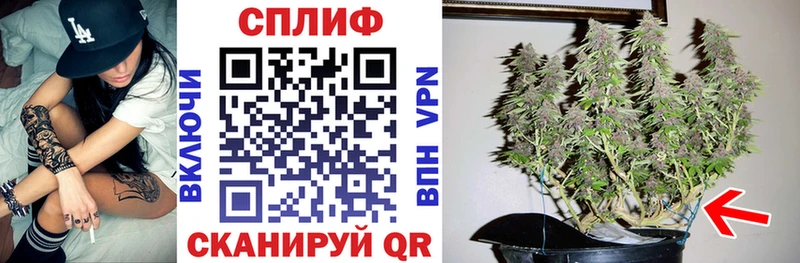 где купить наркотик Соликамск Конопля LSD WEED
